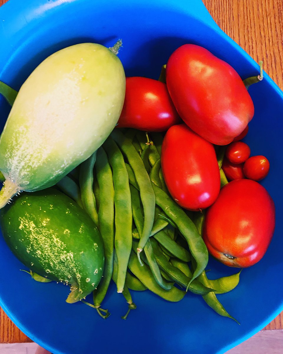 CPSCareerReady's tweet photo. #Selfcare gardening and #BackyardSTEM with a praying mantis and a humming bird! https://t.co/hFwj5qYYZS