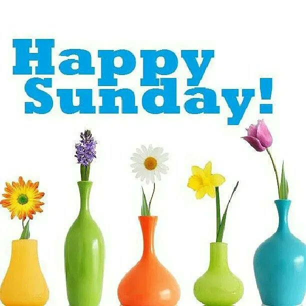 DTNEtiquette's tweet photo. Ah, Sunday offers a special time of just "being" with the excitement of the week ahead teasing us! ~ #DTN #SundayMotivation #BePresent #Time2Relax https://t.co/BKbXmGYLfU