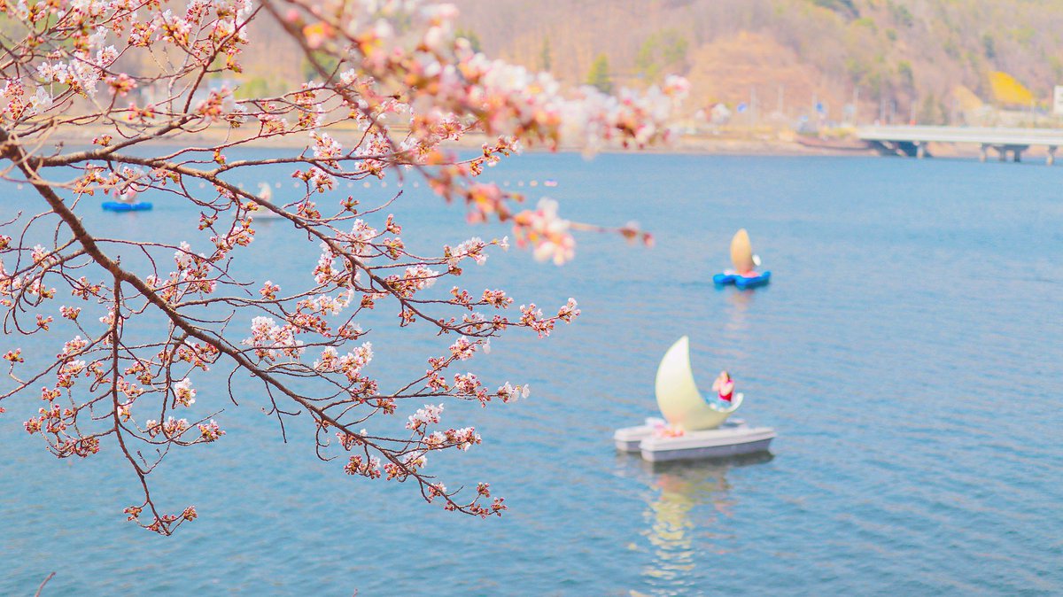 SeoulJournal's tweet photo. Moon boats are a new attraction at Lotte World amusement park in South Korea. Take a ride with your friends and family on the Seokchon Lake during the day as well as under the stars. #moonboats #seokchonlake #koreatravel https://t.co/w2tLJUo1HF