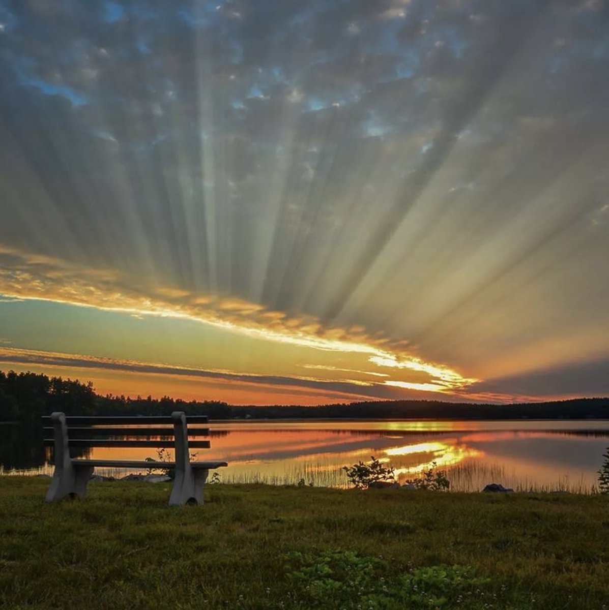 ramblingsloa's tweet photo. If light is in your heart
You will find your way home.

Rumi
📸 chris nature lover https://t.co/otehJNnVkS