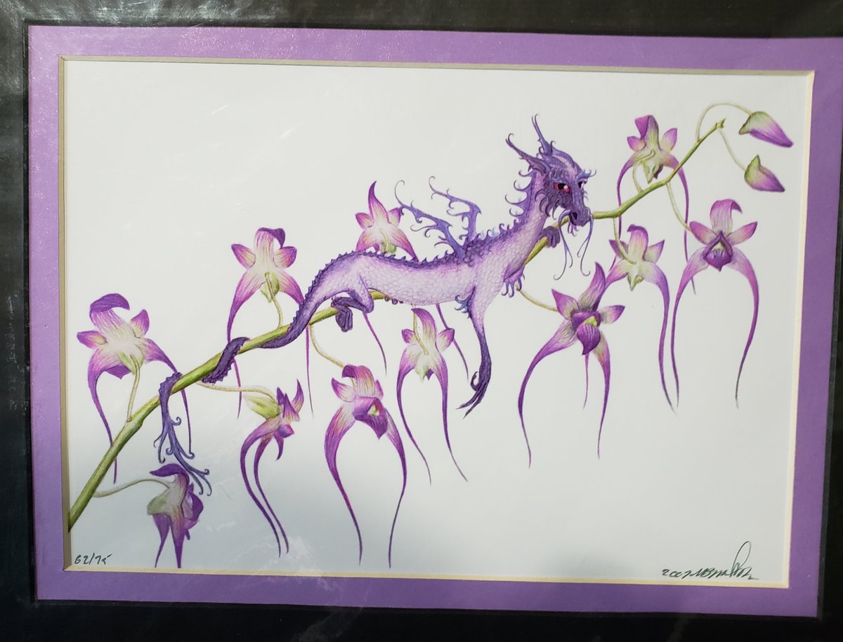 KiriFineArt's tweet photo. I went to #Bubonicon 53 yesterday and found an adorable purple dragon print by Maia BW Sanders from 2003. Unfortunately I can't find her online anymore. Anyone know where I can look? #art #dragons #orchid #fantasy https://t.co/ma9R1W4Pdj