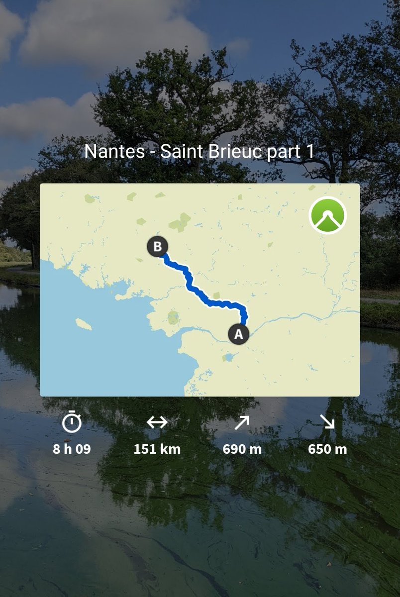 toYo 🥸 tweet media