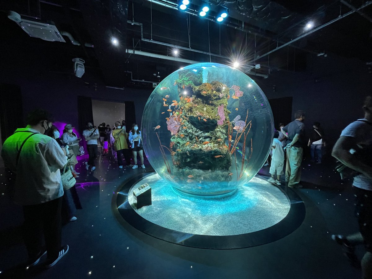 PillRobinson's tweet photo. 2週連続の関西旅行！
先週ツメツメすぎて行けなかった神戸の映える水族館へ
見れなかった神戸の夜景も見れたし素晴らしい。

淡路島に行こうと思ってたけど京都に寄ったので、次回にお預けで！ https://t.co/hTVrB2slIP