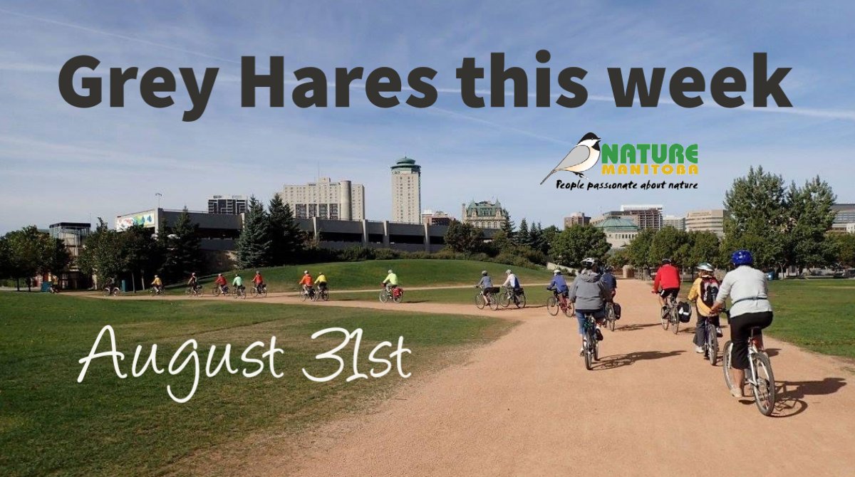 Grey Hares this week: On August 31st the Grey Hares will cycle the historic River Road Heritage Parkway! Learn more about the trip here: bit.ly/3QYBOw2 and learn more about our Grey Hares program here: bit.ly/3CdWgop