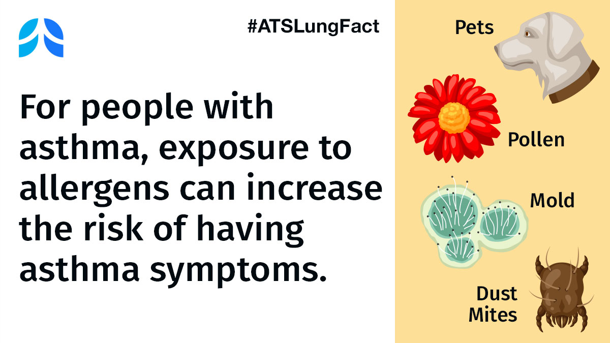 Your healthcare provider can help you get tested to discover what allergens may trigger your asthma. Find ways to avoid common allergens with this ATS fact sheet: atsjournals.org/doi/pdf/10.116… #ATSLungFact #asthma