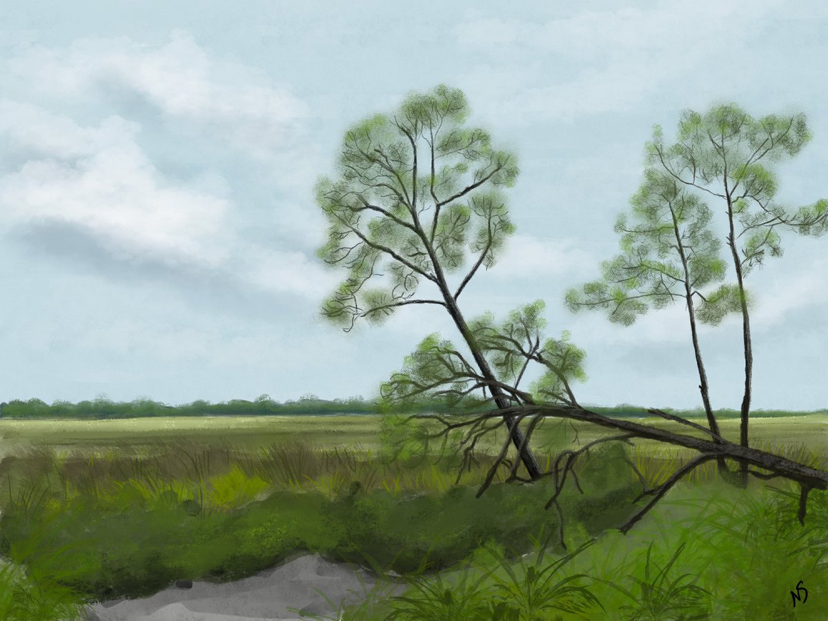 CseventyBee's tweet photo. Sundays are for enjoying family and loving yourself.  I like getting out into nature and drawing. This is a drawing I did of Fripp Island SC.  How about you? What do you like to do? https://t.co/LSNvhH7jDE