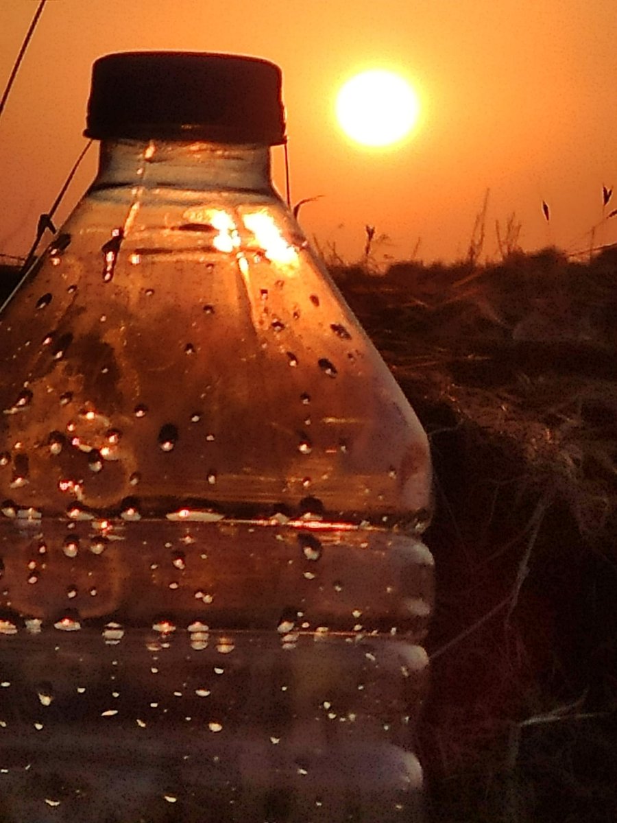 Syrıa da gün batımı