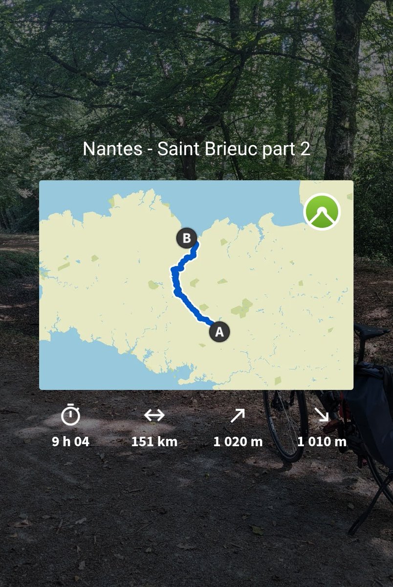 toYo 🥸 tweet media