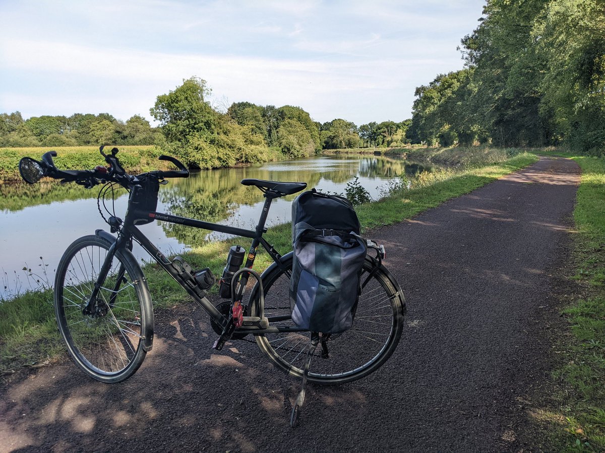 toYo 🥸 tweet media