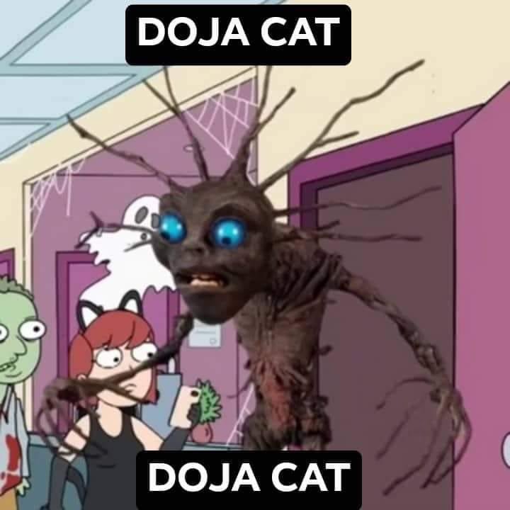 EdVieyra3's tweet photo. @DojaCat https://t.co/KWSLsk3833