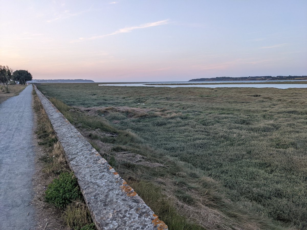 toYo 🥸 tweet media