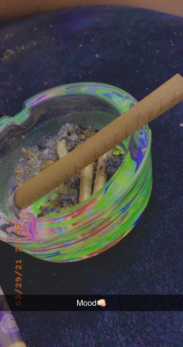Undeafea's tweet photo. Smoke some Brocoli💨 https://t.co/XTS6VNiukZ