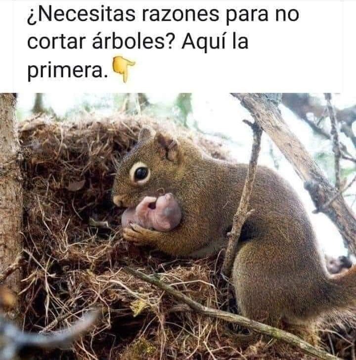 Jesuseqc's tweet photo. https://t.co/4jqUPX8iOS