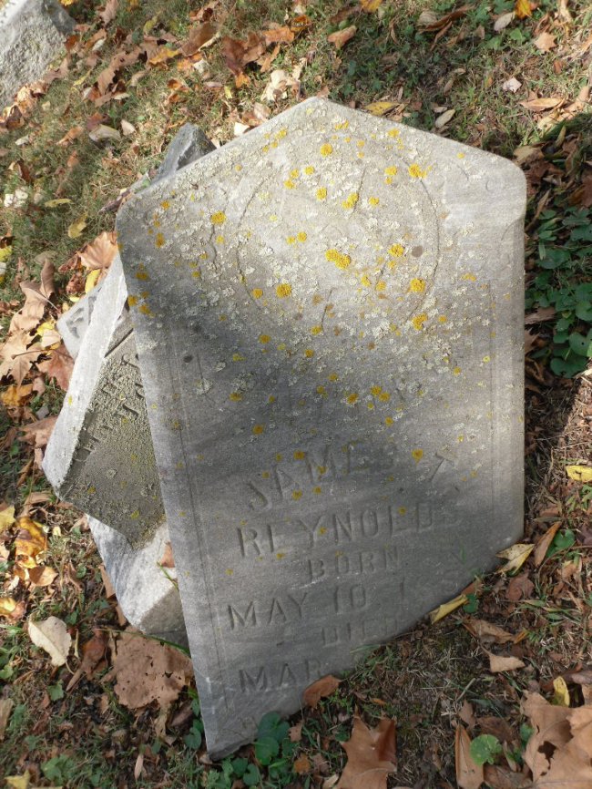 Mightier Acorns tweet media