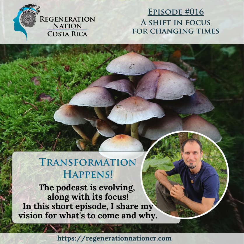 RegenNationCR's tweet photo. Happy New Moon, friends 🌚
I've finally launched my podcast's new brand
The podcast is now called Regeneration Nation Costa Rica.  It's aimed at exploring who's doing what to bring CR toward carbon neutrality and social wellbeing. 
Let me know what you think! https://t.co/Nl2OtLNx57