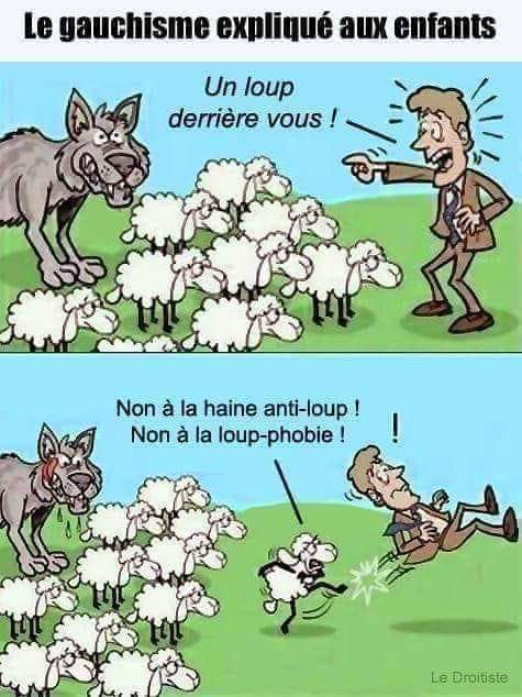 Zemmour_svp's tweet photo. C'est plus clair comme ça ? https://t.co/5ztlTrMNEk