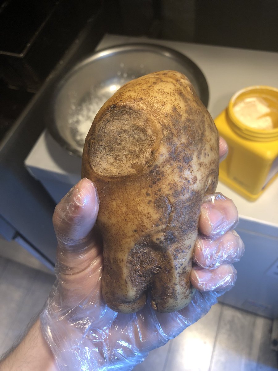 neverseenaboob's tweet photo. sus potato i found https://t.co/Obw9dUjcJ9