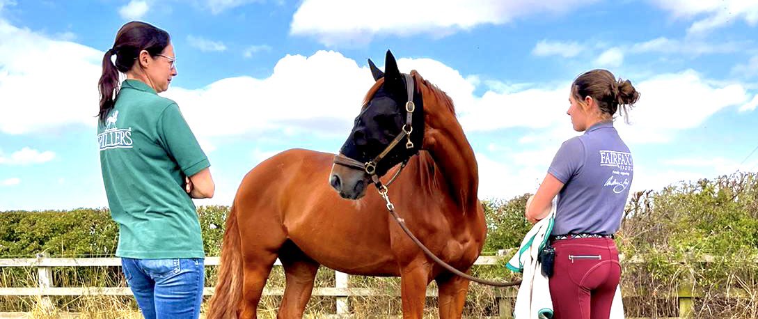 A very big ‘Thank you!’ goes to Vanessa &amp; the whole <a href="/TeamSPILLERS/">SPILLERS™</a> for taking such great care of our horses nutrition and wellbeing 🙌

Last ‘Check up’ for Paula &amp; David Evans’ <a href="/paulavevans/">Paula Evans</a> VASSILY DE LASSOS before heading into the 🇦🇺Training Camp ahead of Pratoni

#TeamSpillers
