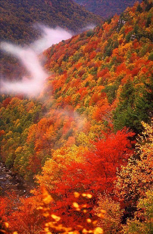 acibiber10's tweet photo. Good evening🌄🌁🌲🍂🍁 https://t.co/vLqiFV0rOS
