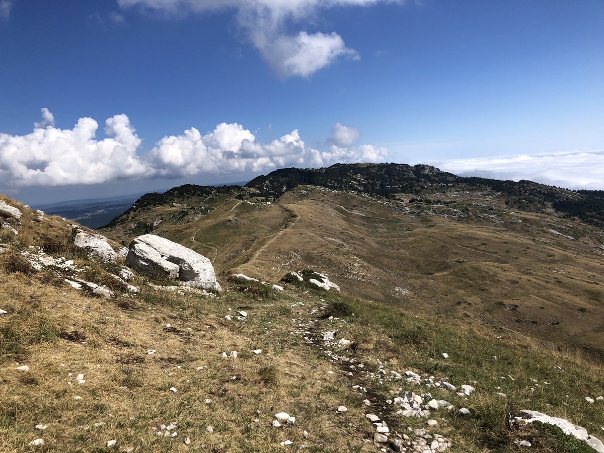 a_nnnick's tweet photo. Warming up my legs for the traditional #MunroStepChallenge and …. just having a good time!😁⛰ 🥾 ☀️
Are you getting ready to step!? 🥾 @peakersrus @MyPeakChallenge @SamHeughan https://t.co/waryD07WjV