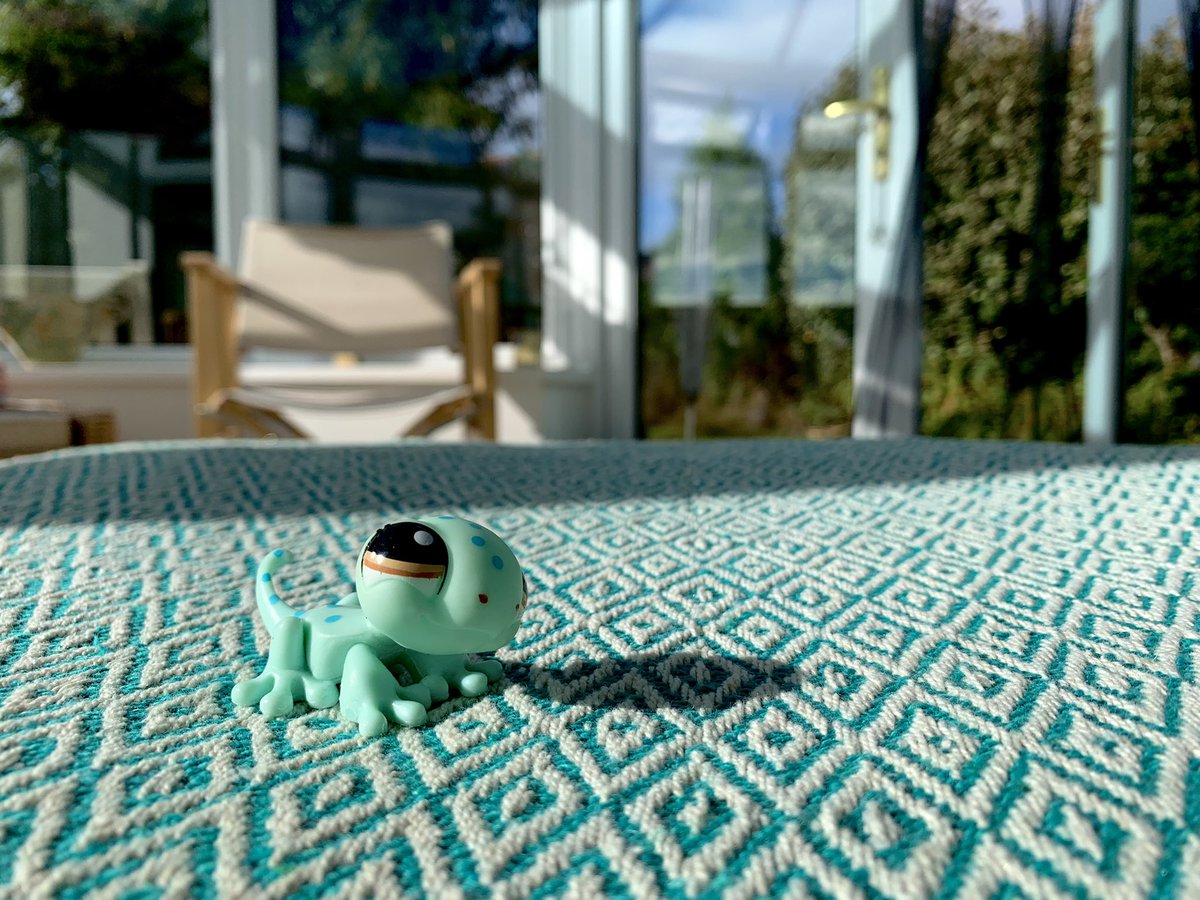 Lps_Photos's tweet photo. Sun lizard ☀️🦎 

#LittlestPetShop #lpsphotography #lpsphoto #lps https://t.co/1cJqX9qzoD