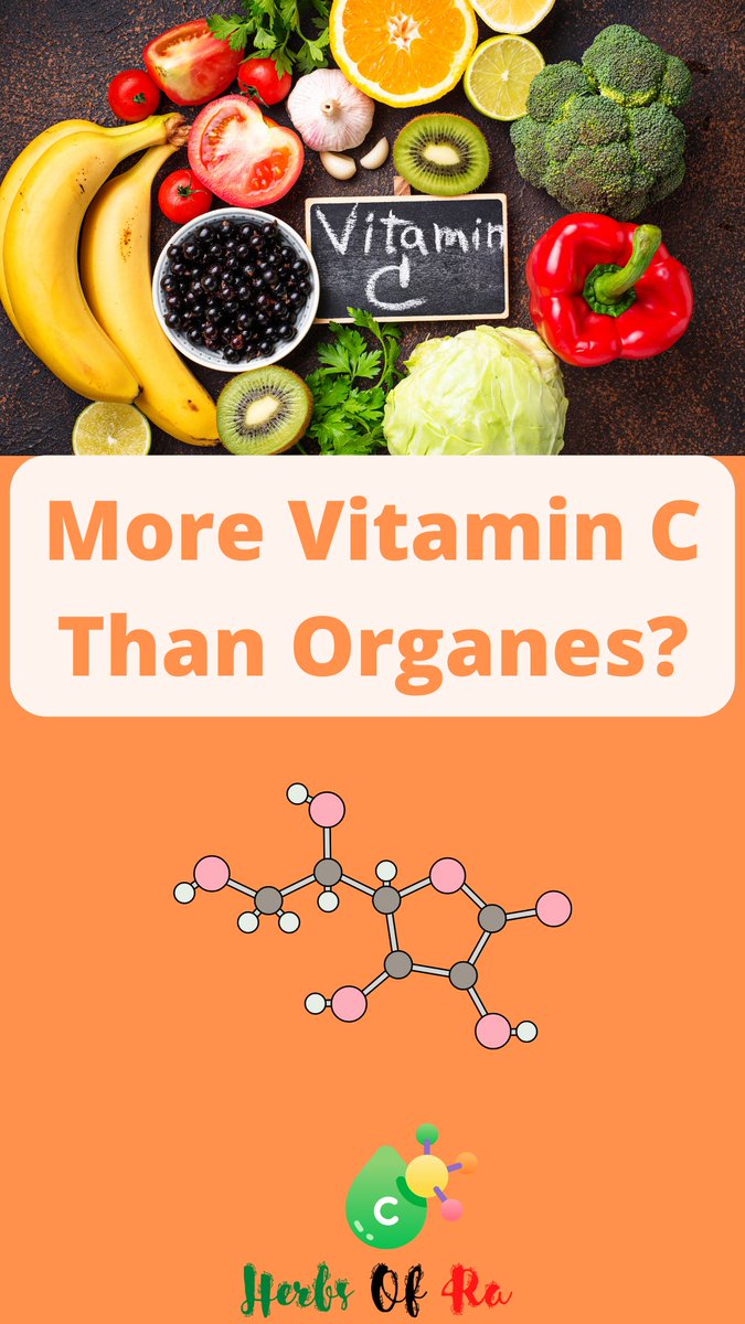 Thothknows's tweet photo. Herbs of Ra: Oranges Are NOT the Best Source of Vitamin C https://t.co/2RKxNxqxVD https://t.co/d4vwngQyZz