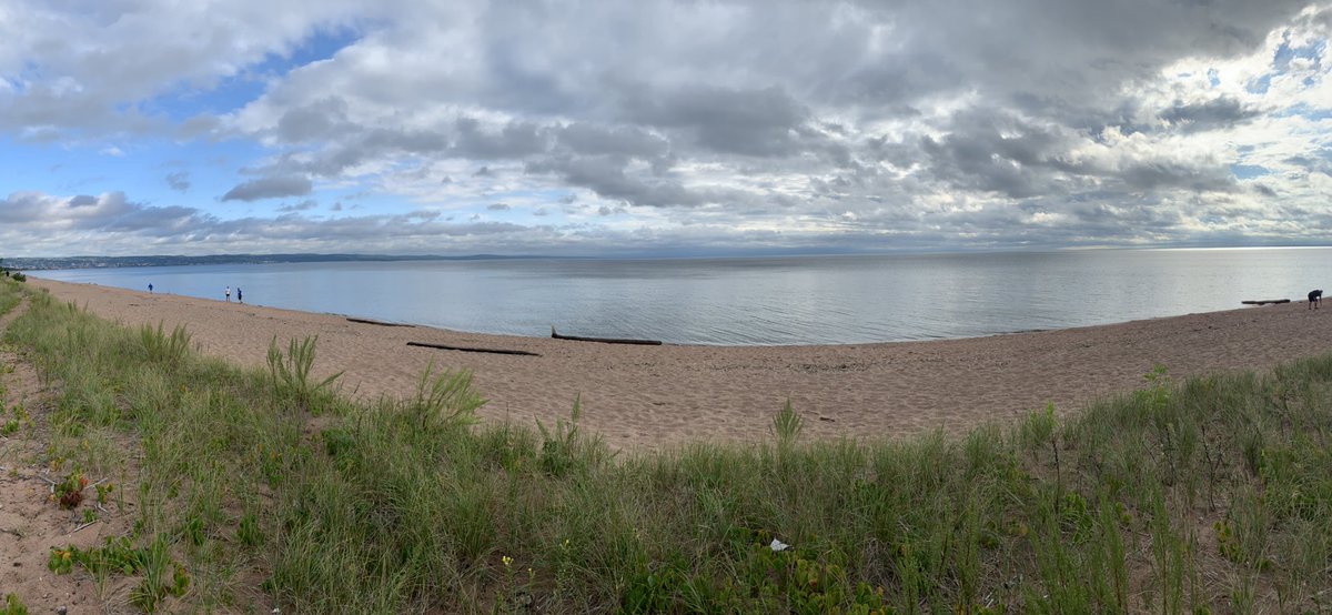 Mike Heffernan tweet media