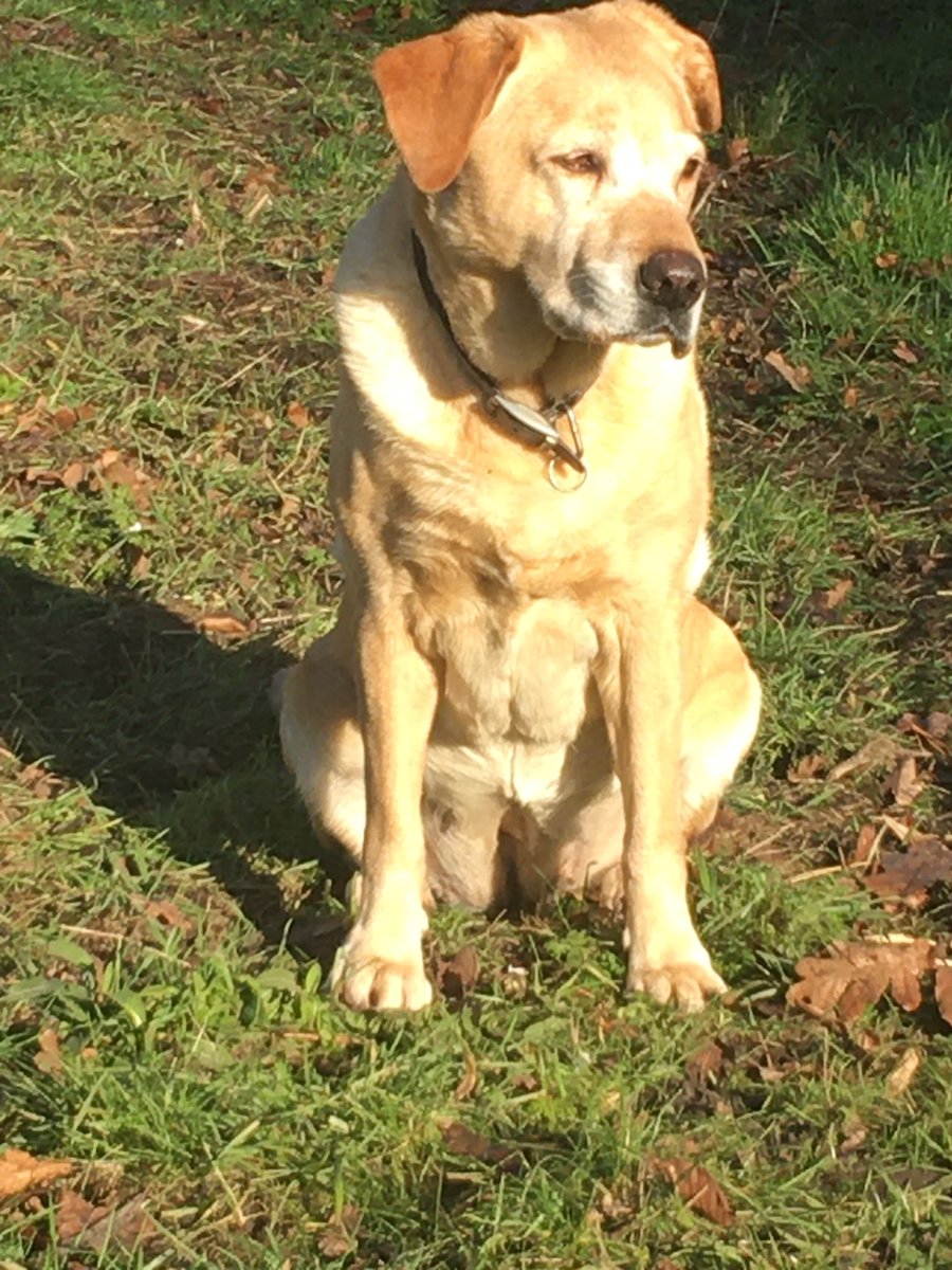 Mike Porter 🚜 tweet media