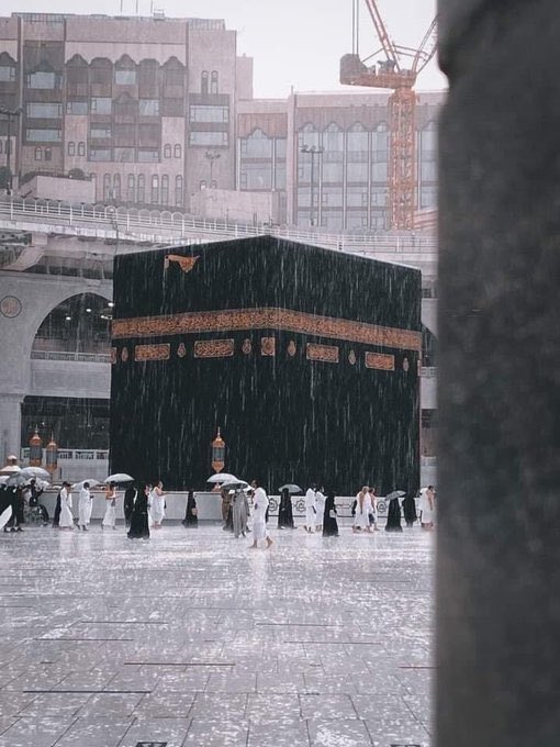 "ويبقى حلمى الوحيد أن أعتمر وهى تمطر ."🕋