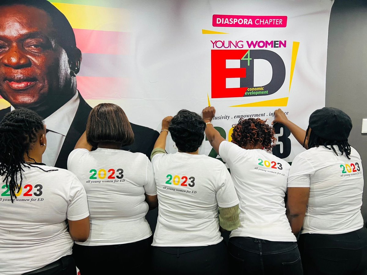 YW4ED Diaspora Chapter tweet media