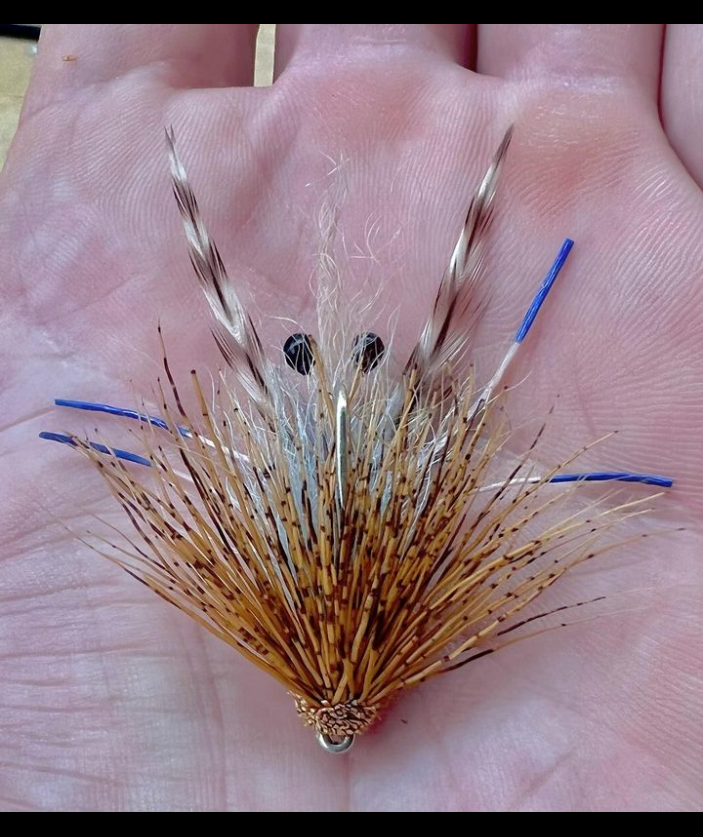 TCFranchise's tweet photo. Top story: @Saltwateronfly: 'Cool Crab
@thetexasgillie
I made a few tweaks.|
•
#redfishflies #crabfly #crabflies #redfishfly #flyfishingforredfish #redfishonfly #flytying #saltwaterflyfishing #saltwaterflytying #saltwat… https://t.co/mAh6Pzeve6, see more https://t.co/FtsjdzQNMX