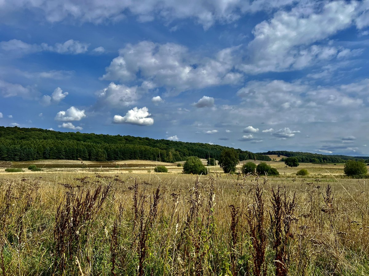 Walkerboy7's tweet photo. Simply beautiful trundling around the #howardianhills today #northyorkshire #terrington #hovingham #GodsOwnCountry https://t.co/7gowvo1Eaa