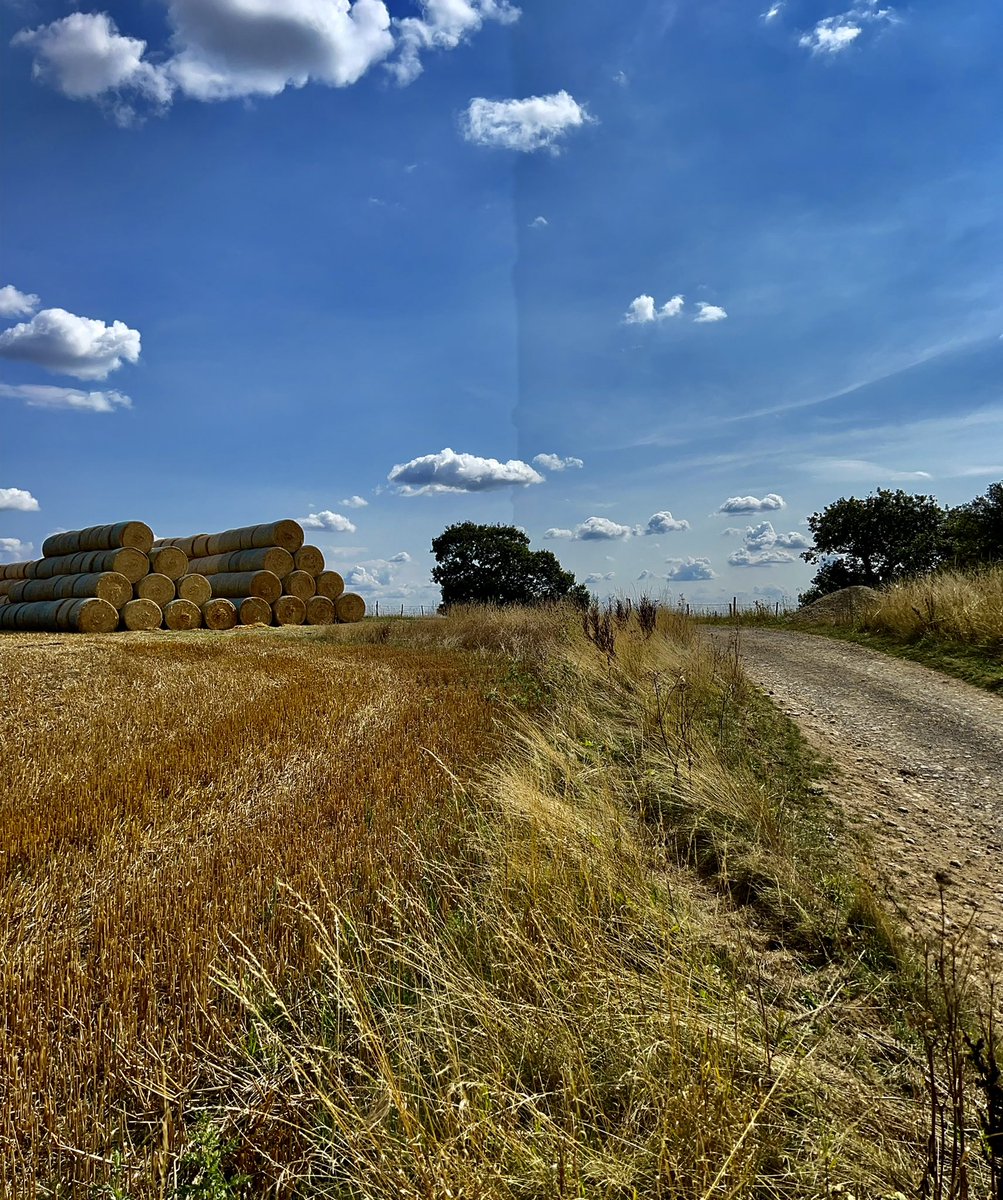 Walkerboy7's tweet photo. Simply beautiful trundling around the #howardianhills today #northyorkshire #terrington #hovingham #GodsOwnCountry https://t.co/7gowvo1Eaa