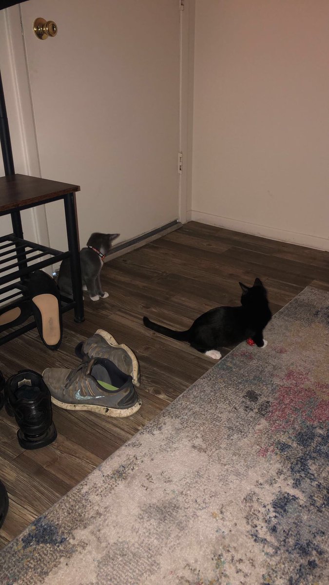 Con 🌴☀️ tweet media