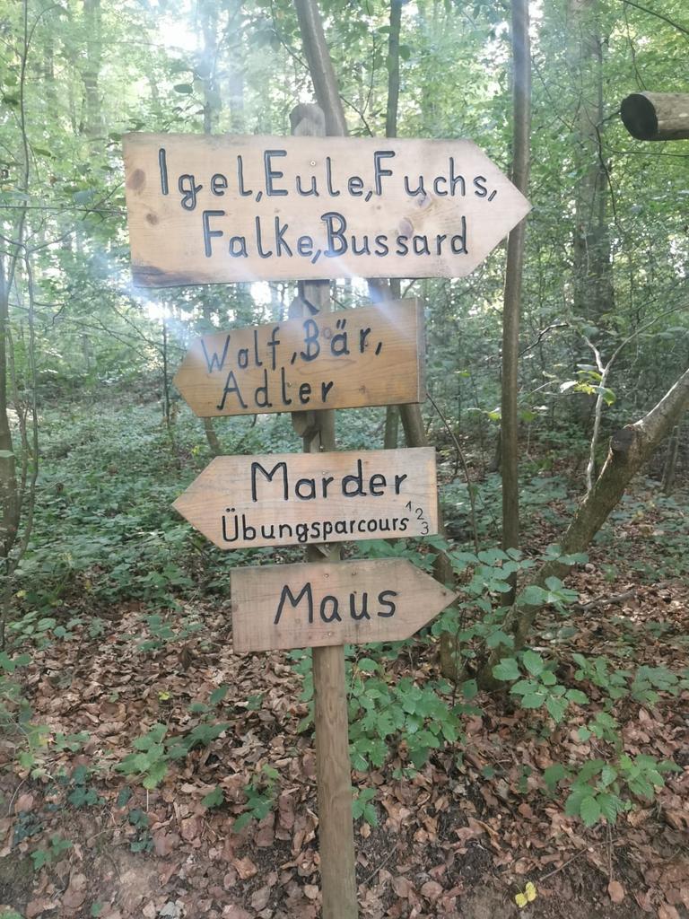 Es gibt nichts besseres als einen Sonntag mit Freunden im Waldklettergarten Danke für den tollen Tag <a href="/SveniBillywig/">Sveni</a> und <a href="/Huffynn03/">Huffynn⚡💛🏳️‍🌈aka Fischaffenhai🦈der Rächer🙂🔪</a>