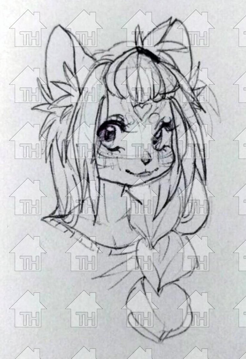 Mainecoon cat by Boopeep.💲1⃣0⃣0⃣