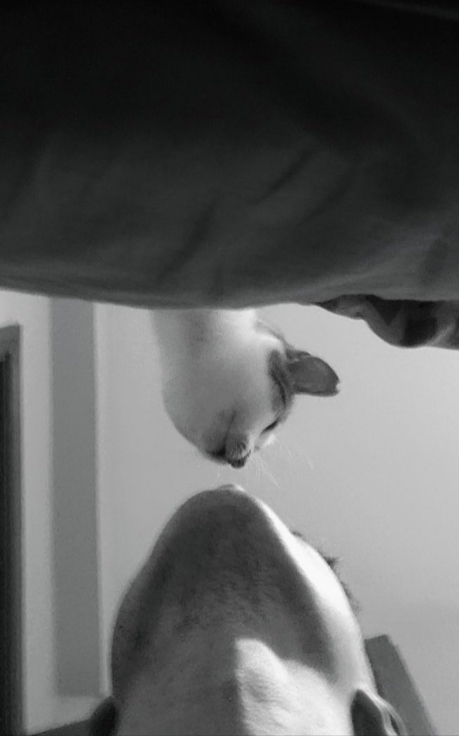 Emin (@emincakirog1u) on Twitter photo 