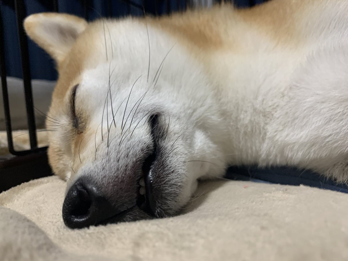 おやすみなさーい⭐️