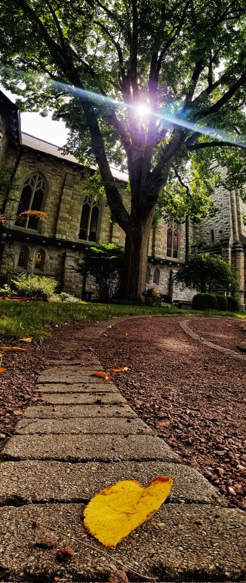papolaw's tweet photo. GM &amp; Happy Sunday / Monday Everyone!! Hope that you'll find a path towards something Beautiful today as well...even though there's thunderstorms expecting later today 🌦

#SundayMotivation #NaturePhotography #ilwx #photooftheday #Chicago https://t.co/qjPklawHHM