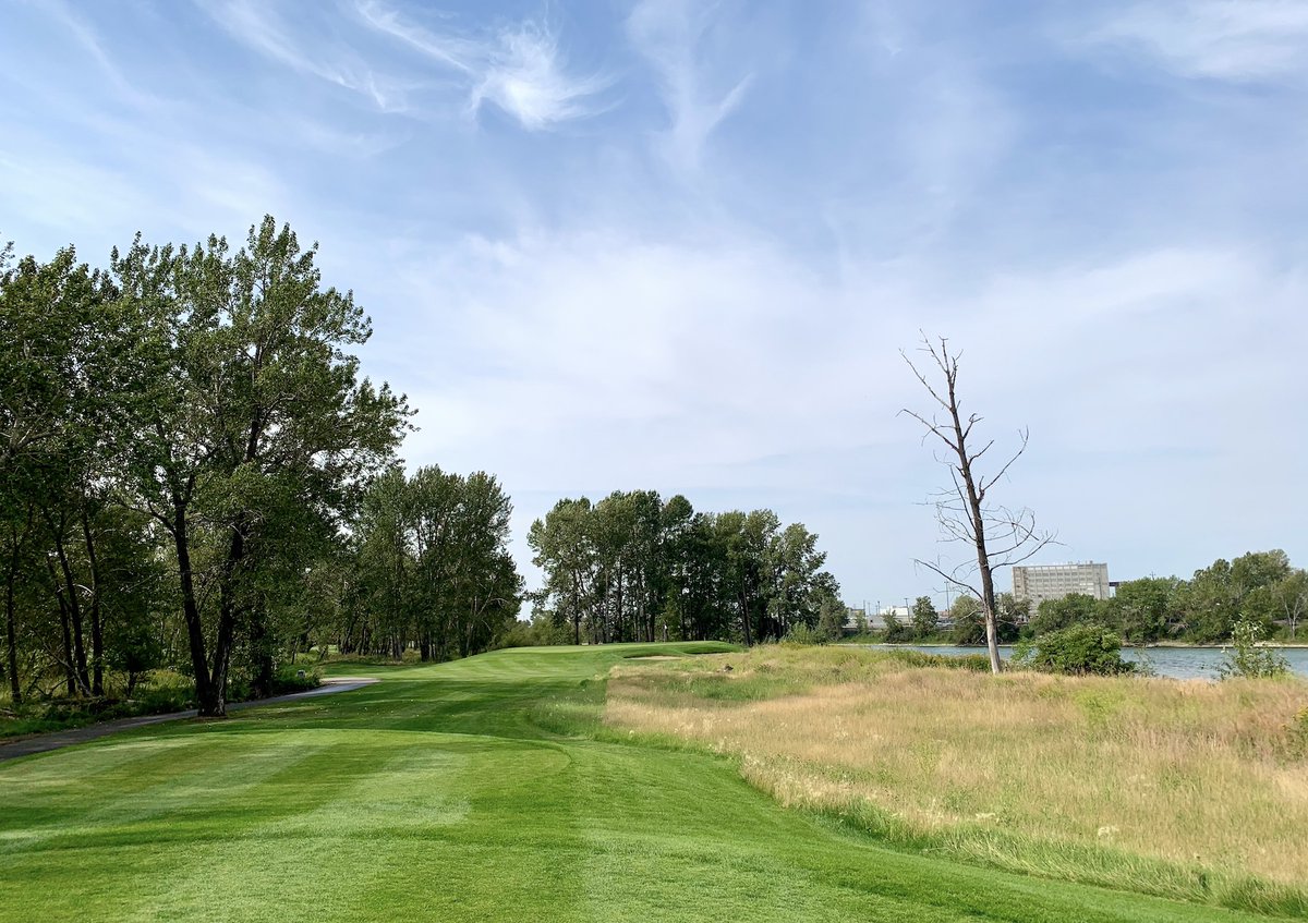WesGilbertson's tweet photo. Writing today about one of the most picturesque Par-3s in Calgary — the new 19th hole at Inglewood. This 142-yard beauty plays alongside the Bow River, and you might spot a bald eagle perched in the ghost tree on the right. The eye-pleasing addition opens to play tomorrow. https://t.co/MZPcuS9lsF