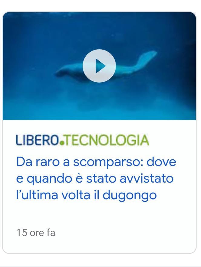 SowskySowsky1's tweet photo. mucche di mare no più latte di dugo https://t.co/y2VoN9PFZi