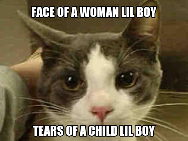 cat_grips's tweet image. 