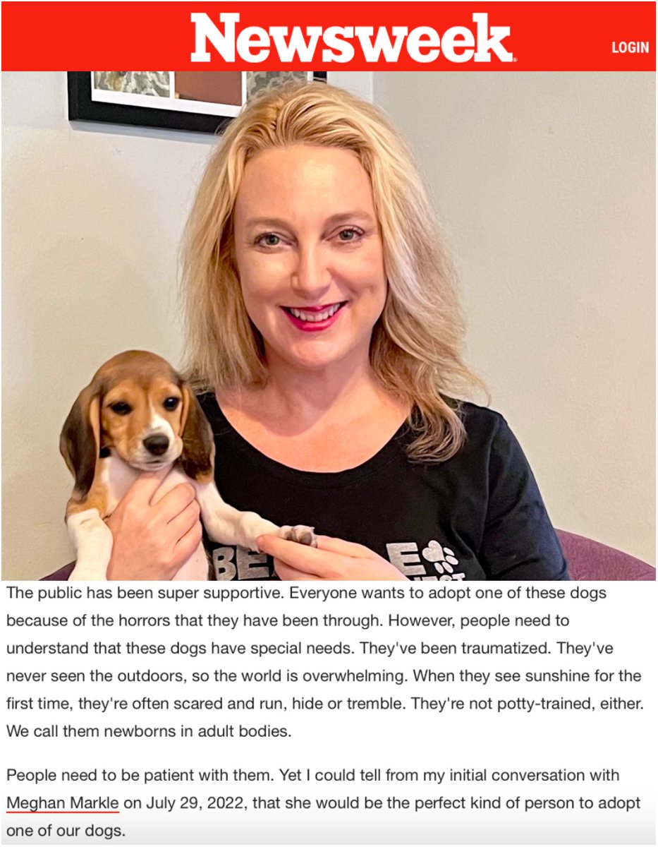 Beagle Freedom Project tweet media