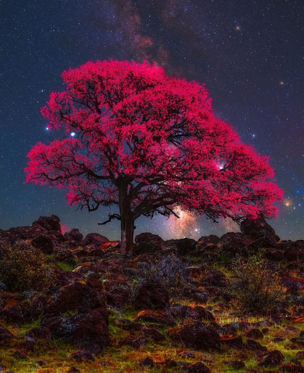 Love_OnlyUU's tweet photo. ~♥~ ✨ Good Night ✨ ~♥~ https://t.co/zgqFdMiYAB