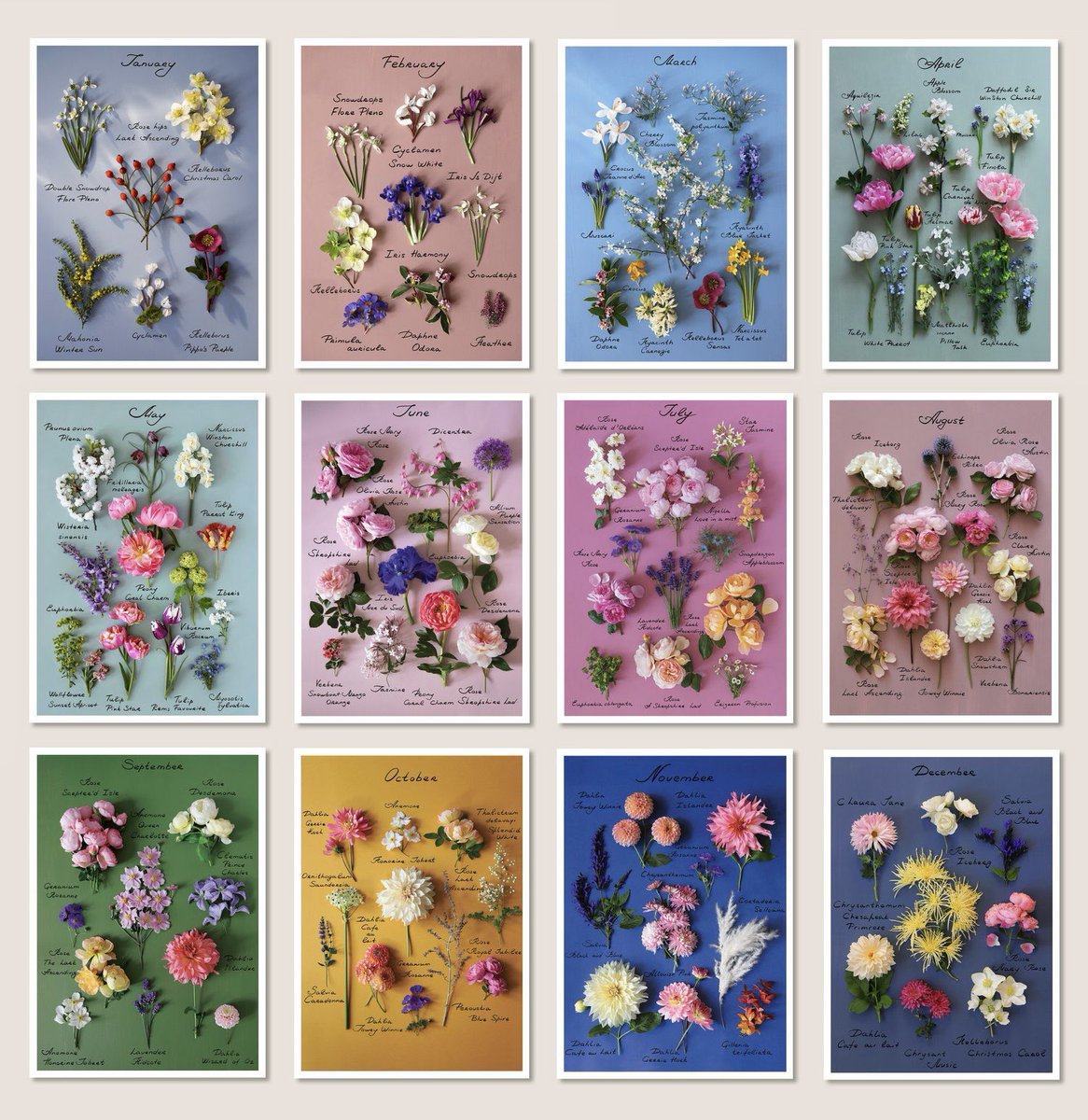 Free Worldwide Delivery on all orders for my Twitter followers only!
Use code: AUGBLOOM
london-blooms.com