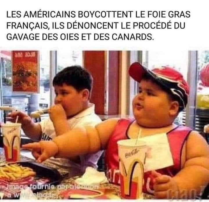 ComplotsFaciles's tweet photo. A méditer... https://t.co/C7QcQr78am