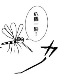 吉田さん、ありがとうございます‼️ 昨日 洗面所で、 蚊べどんやりましたよ私🤩‼️  手のひらでドン‼️したら、 風圧で逃げられた感じ(;'д`)