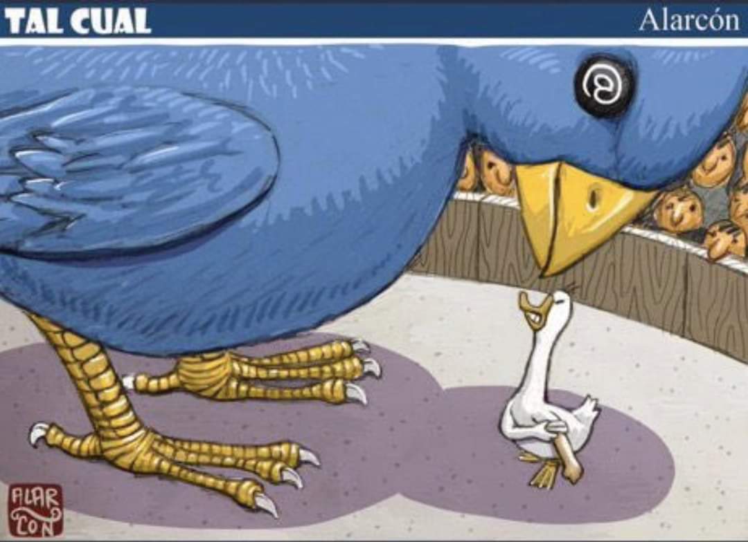 Mex_Consciente's tweet photo. @jaretos @fisgonmonero @monerohernandez https://t.co/Fvx2nvJwXS