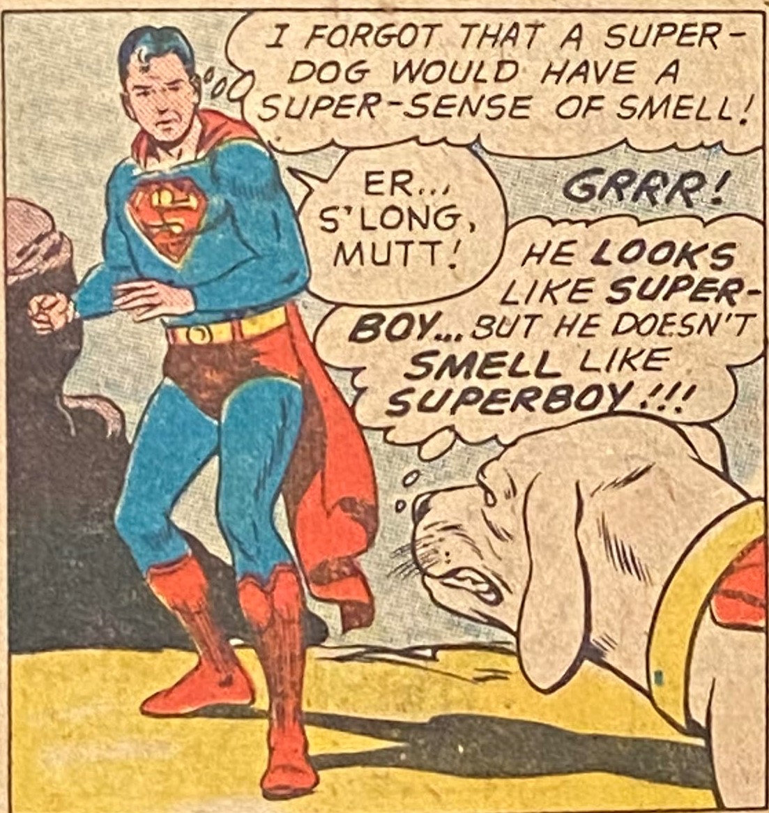 family_wag's tweet photo. Don't even try to fool Krypto
#dogs #sniffthis https://t.co/ttNKLCGKvY