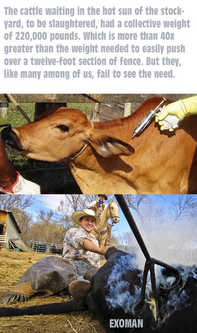 #resistance #clotshot #vaccineinjury #diedsuddenly #pharmaculpa https://t.co/JXEU6IBtVn<a href="/tag/resistance"class="tags">#resistance</a><a href="/tag/clotshot"class="tags">#clotshot</a><a href="/tag/vaccineinjury"class="tags">#vaccineinjury</a><a href="/tag/diedsuddenly"class="tags">#diedsuddenly</a><a href="/tag/pharmaculpa"class="tags"><span>#pharmaculpa</span></a>